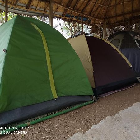 Отель Drunken Monkey Camping Site Хампи Экстерьер фото