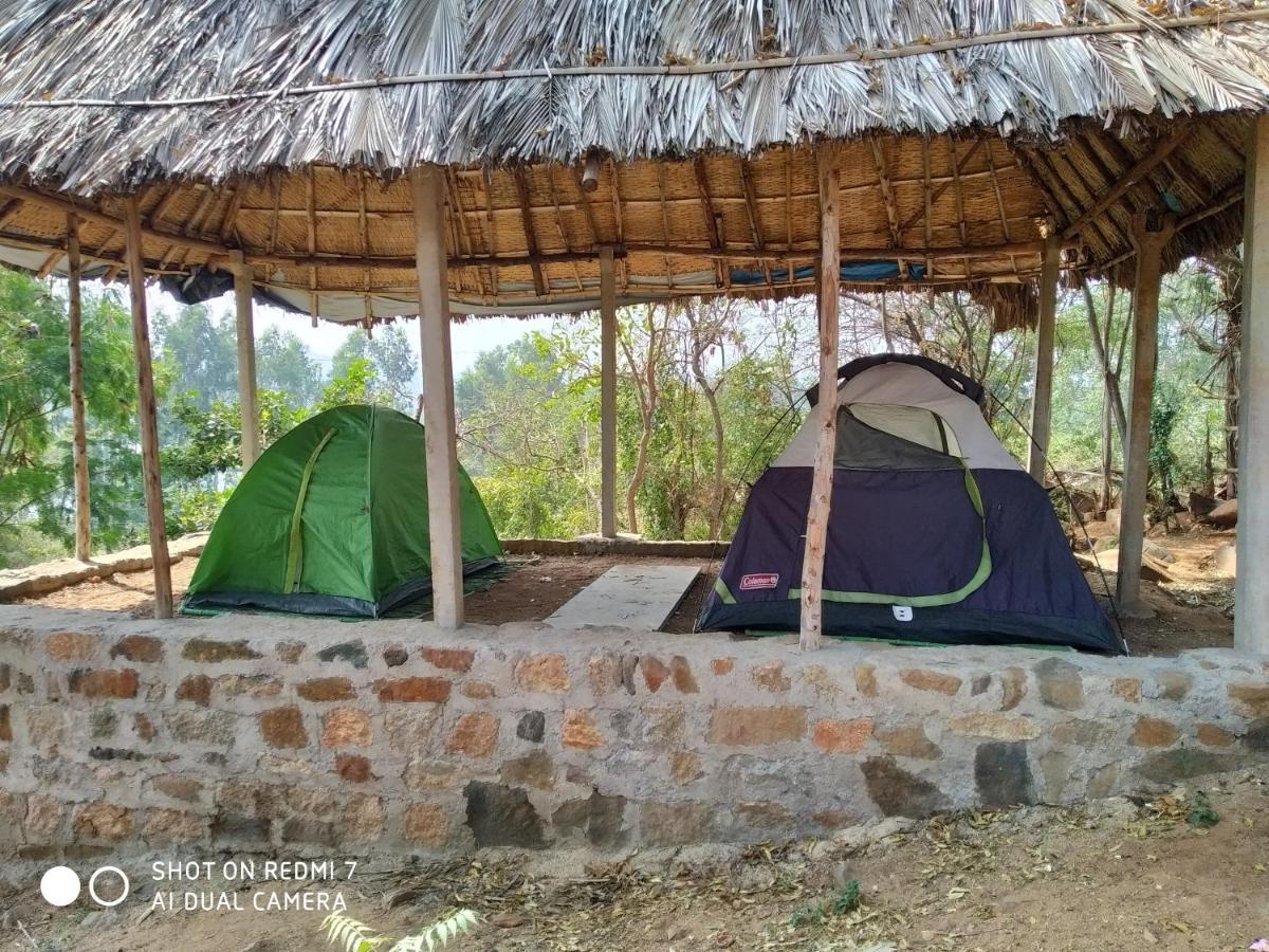 Отель Drunken Monkey Camping Site Хампи Экстерьер фото